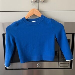 Blue Sweater